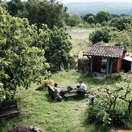 Torre Tanquián Eco Finca - Ribeira Sacra Pantón Exterior foto